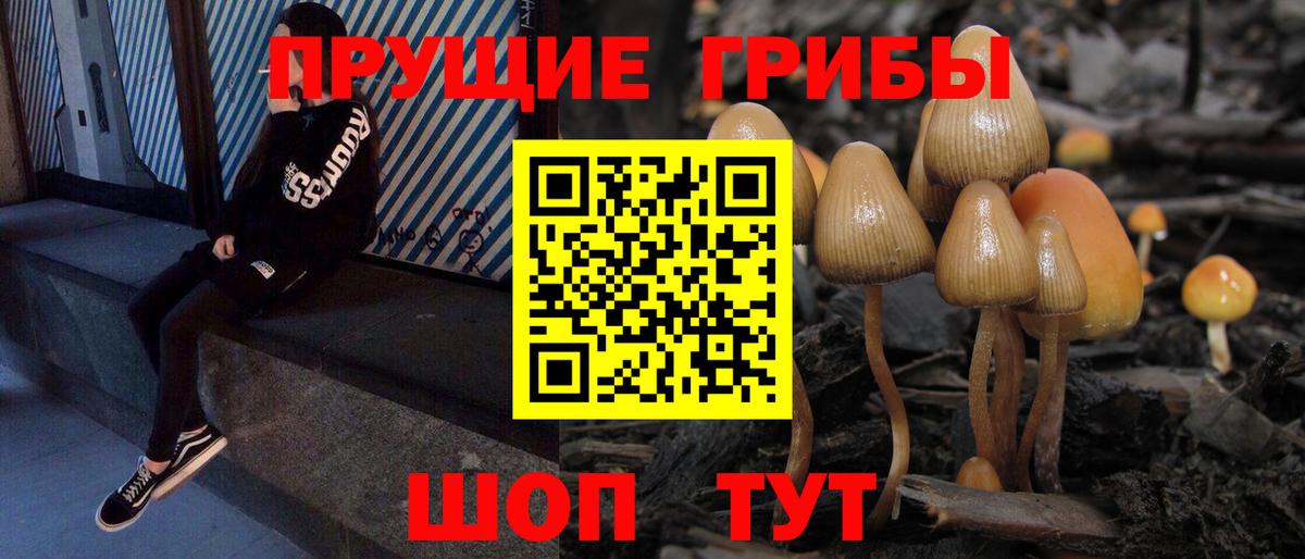 Псилоцибиновые грибы Psilocybine cubensis Дзержинский