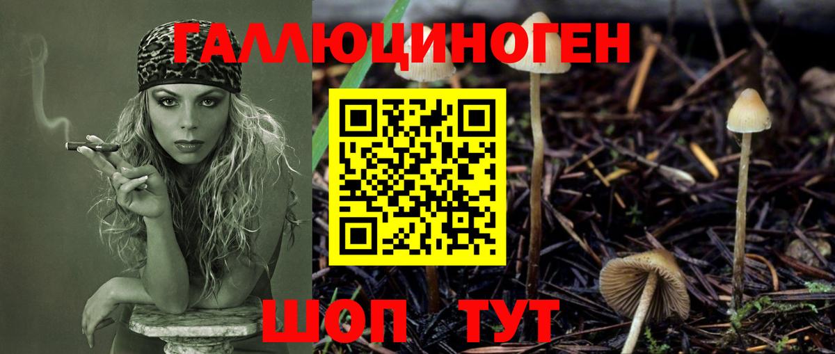 Галлюциногенные грибы Psilocybe  Вход с VPN  Дзержинский 